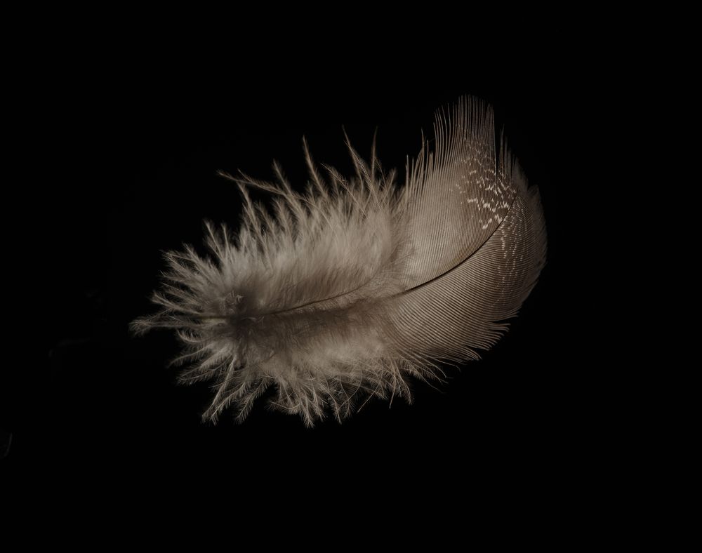 Photograph by Igor Sakharov