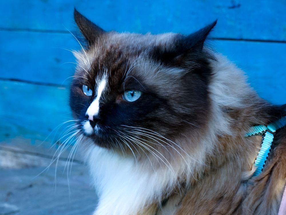 Photograph by Vladimir Borisov