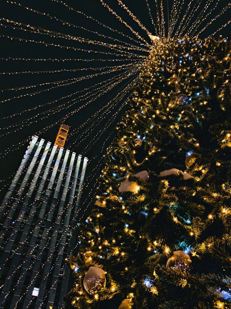 Photograph by Мария Василенко