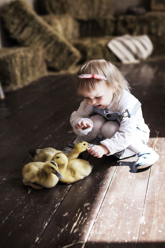 Photograph by Ольга Сорокина