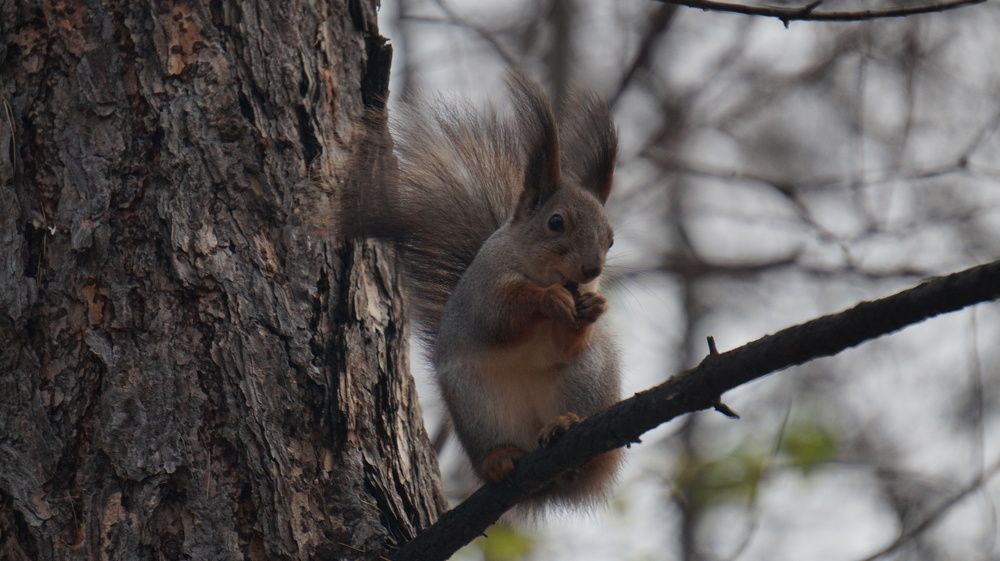Photograph by Павел Каштанкин