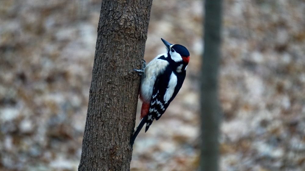 Photograph by Павел Каштанкин