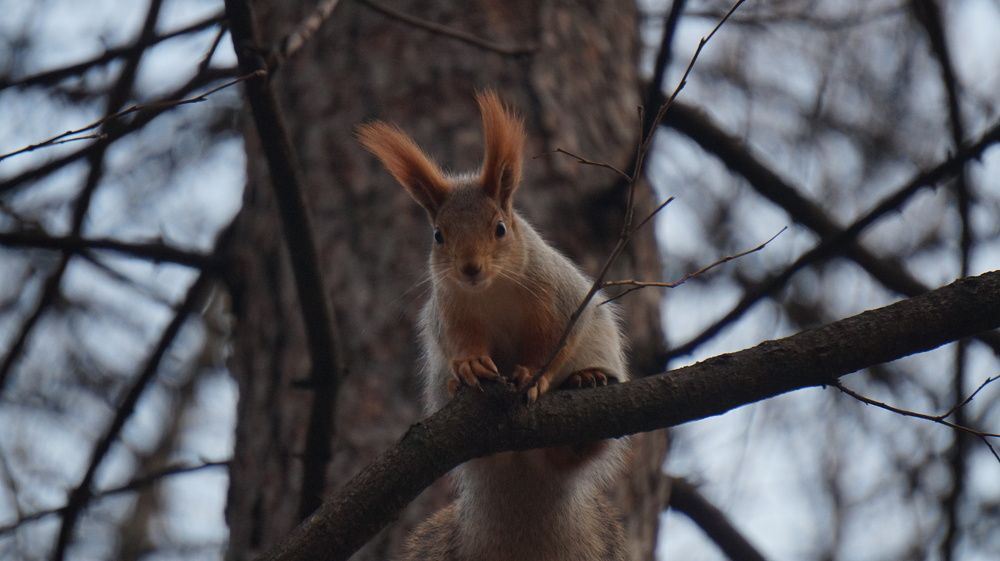 Photograph by Павел Каштанкин