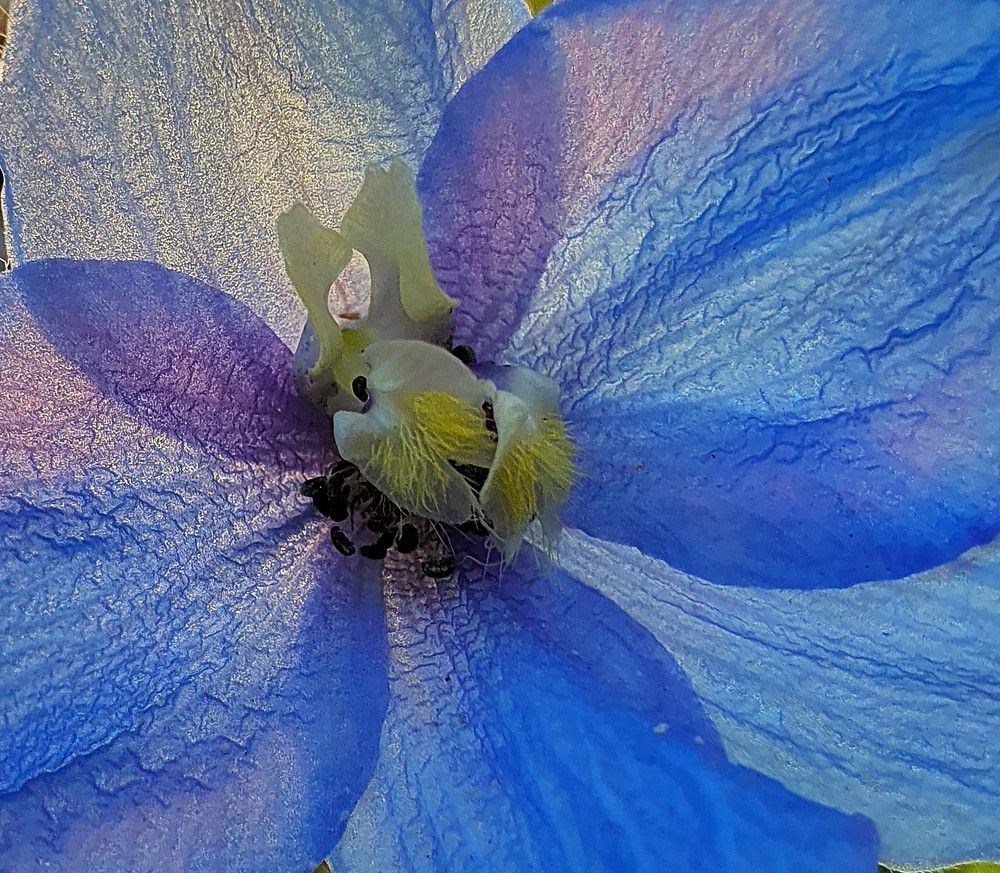 Photograph by Яна Галимуллина