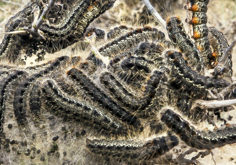 Photograph by Алексей Окунеев