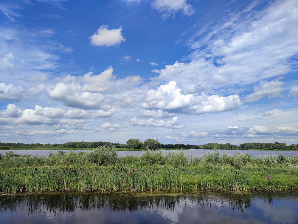Фотография автора Мария Филиппова
