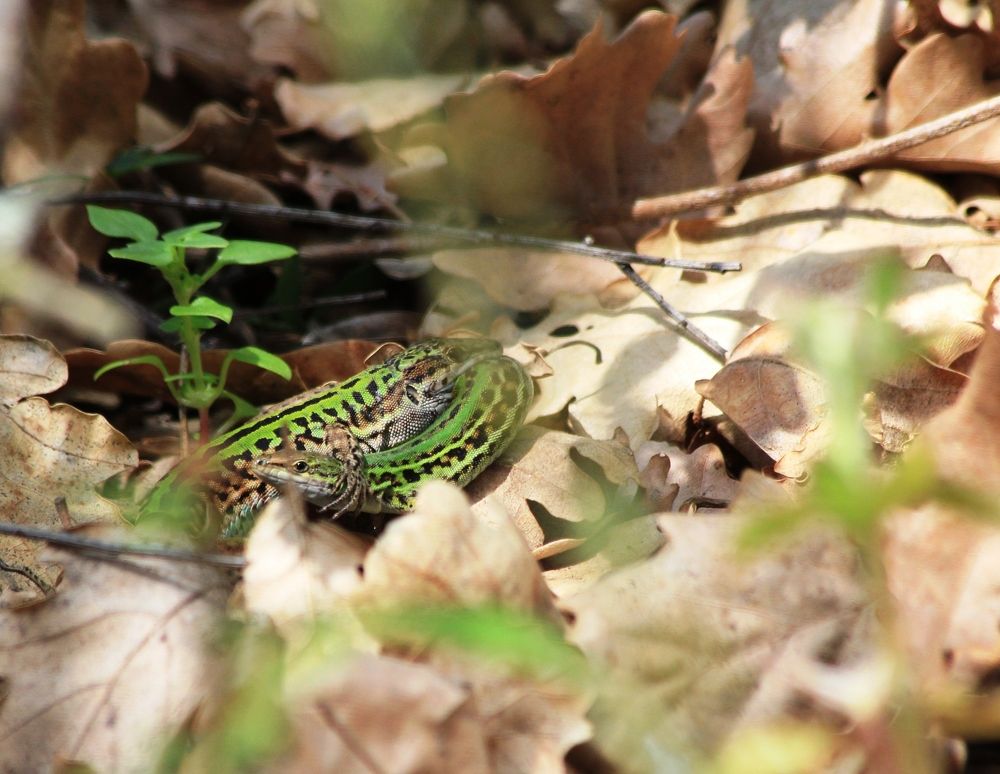 Photograph by Nadzeya