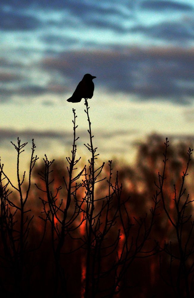 Photograph by Александр Зарх