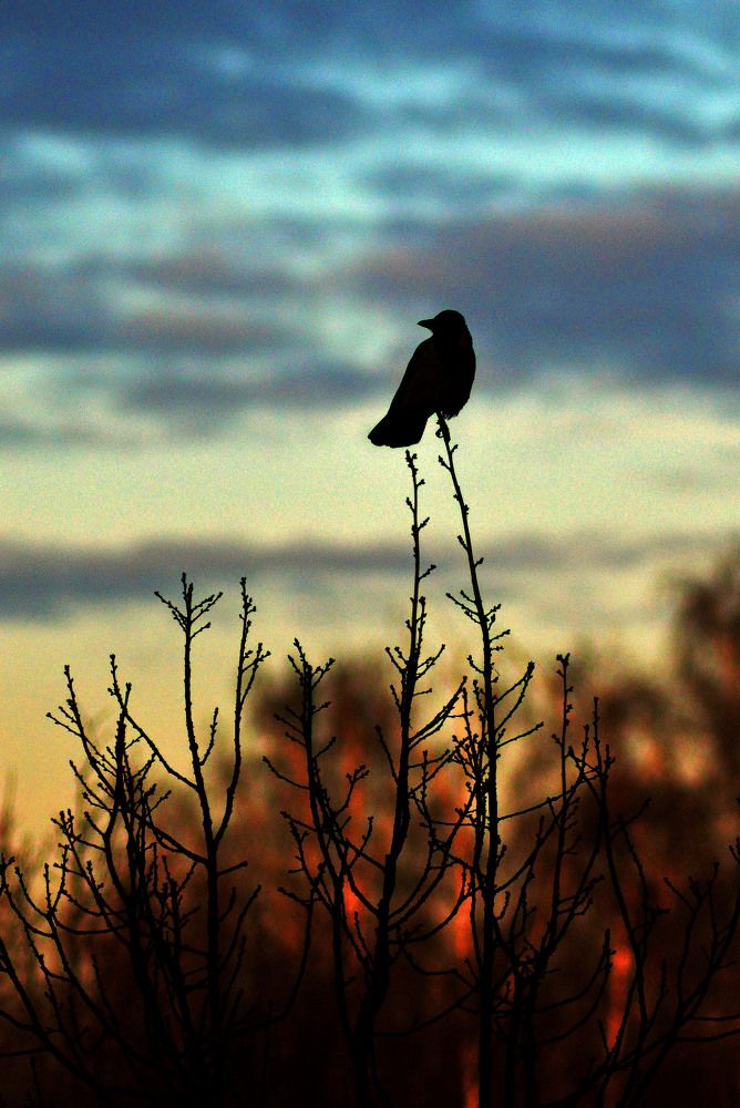 Photograph by Александр Зарх