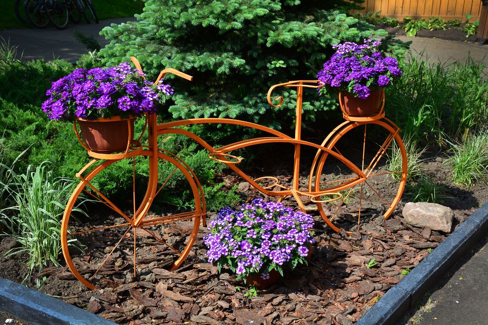 Photograph by Inna Ivanova