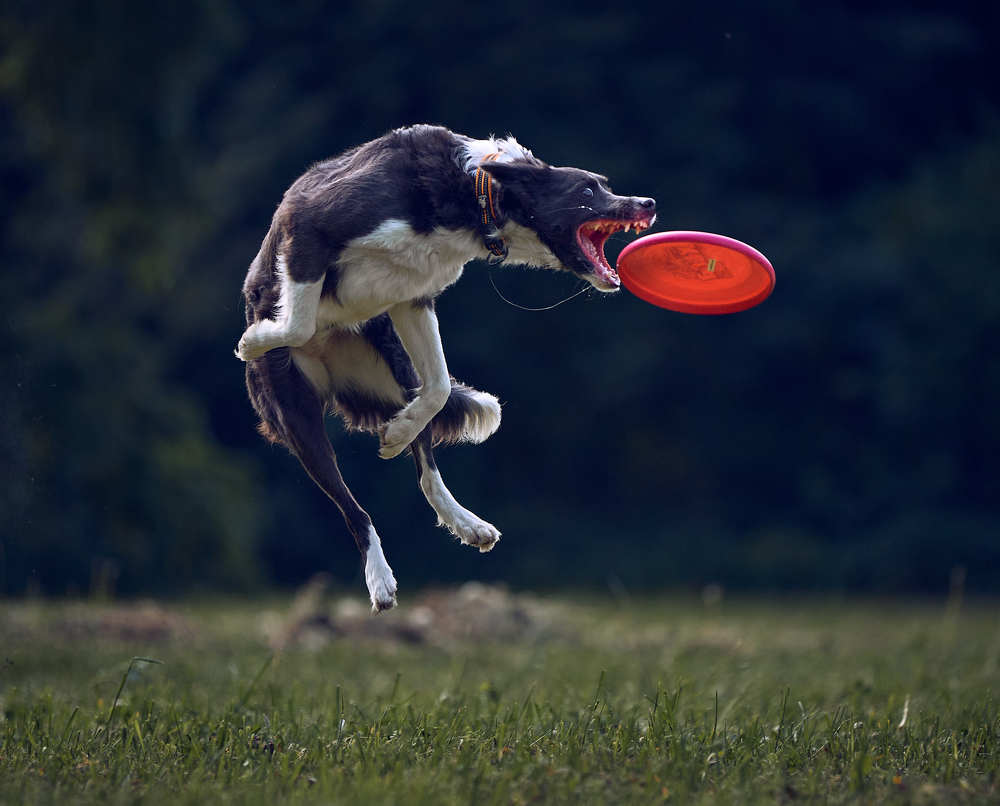 Photograph by Mikhail Khmelevskiy