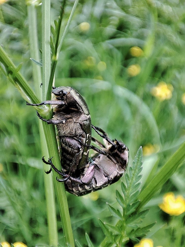 Фотография автора Мария Филиппова