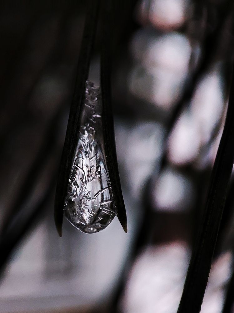 Фотография автора Мария Филиппова