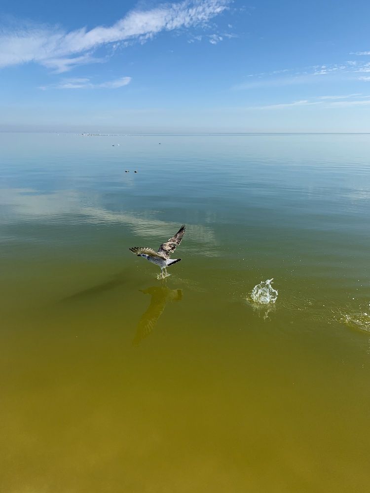 Photograph by Александра Тимошенко