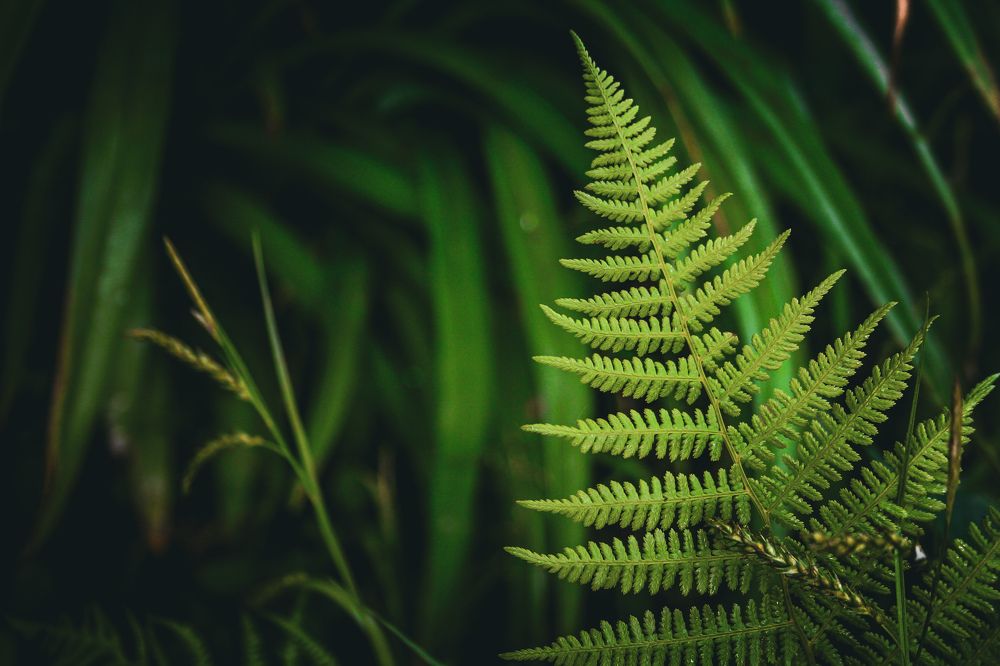 Photograph by Екатерина Никитина