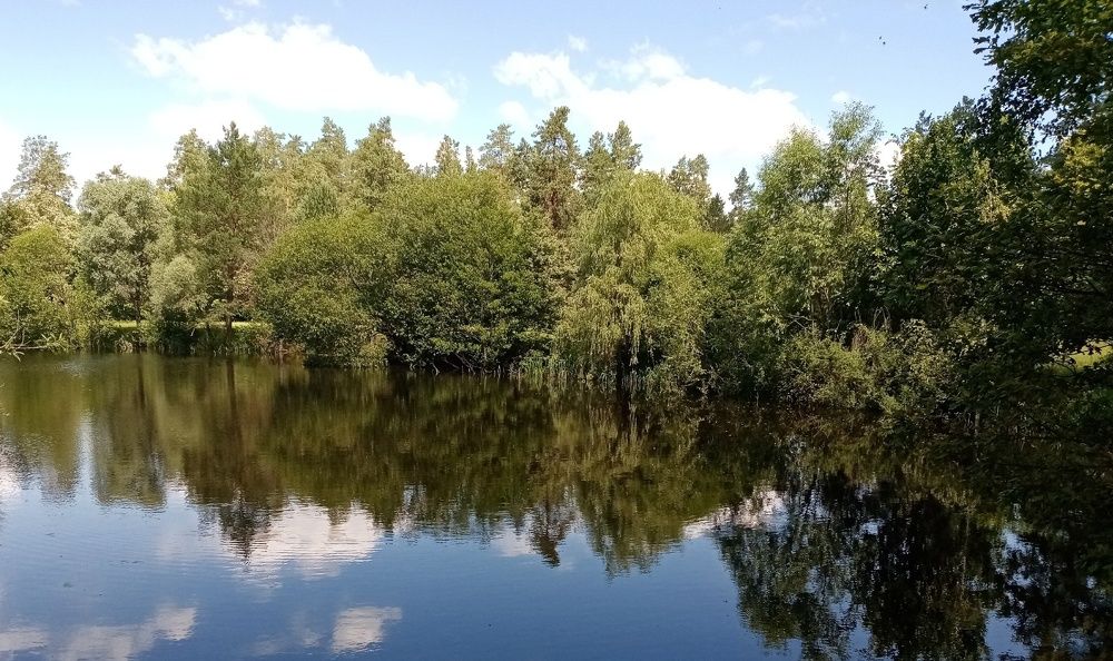 Photograph by Елена Сухорученкова