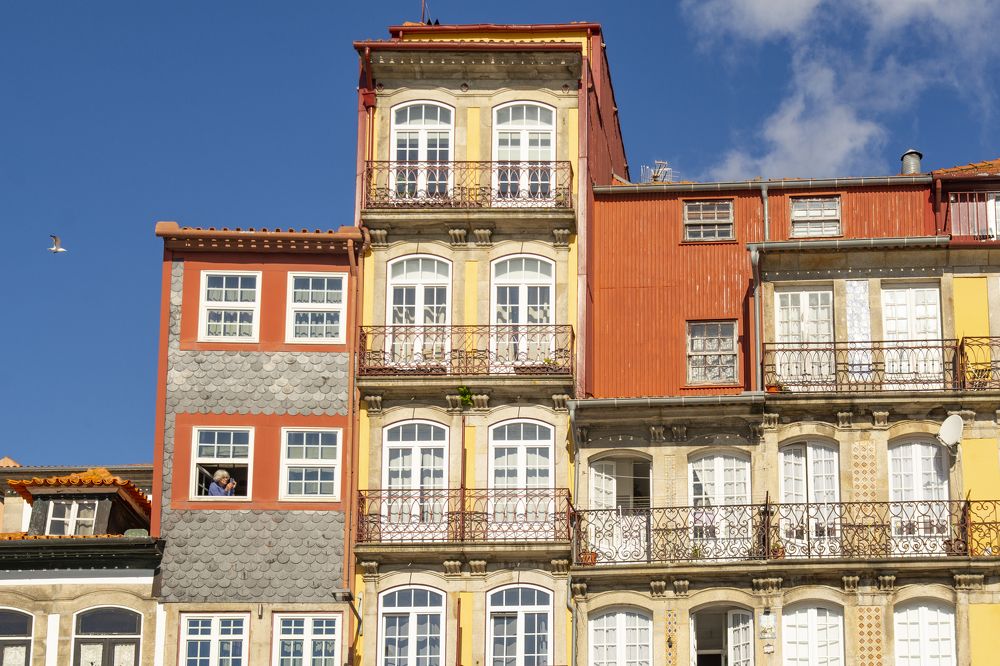 Фотография автора Алена