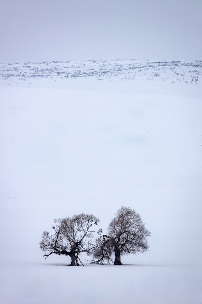 Photograph by Onur Polat