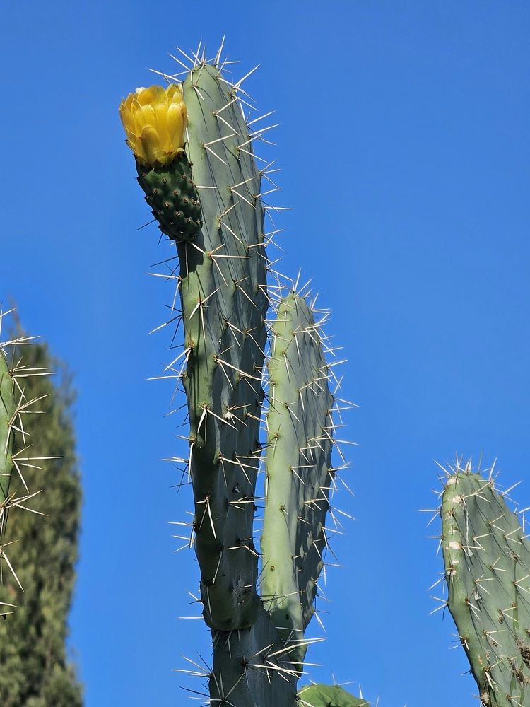 Фотография автора Oksana Podgorodetska