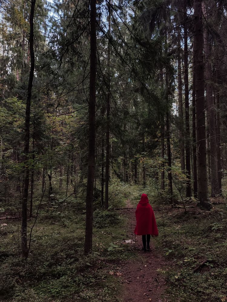 Фотография автора Мария Филиппова