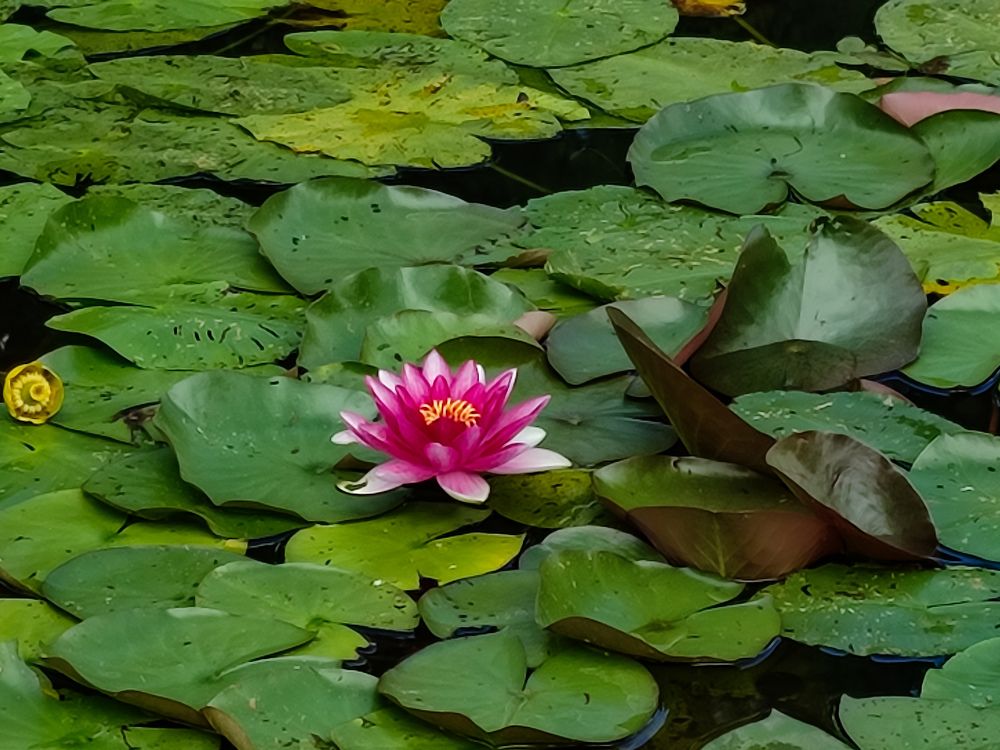 Фотография автора Мария Филиппова