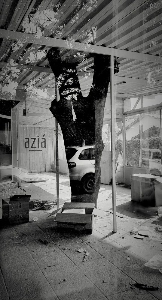 Photograph by Gr Marie