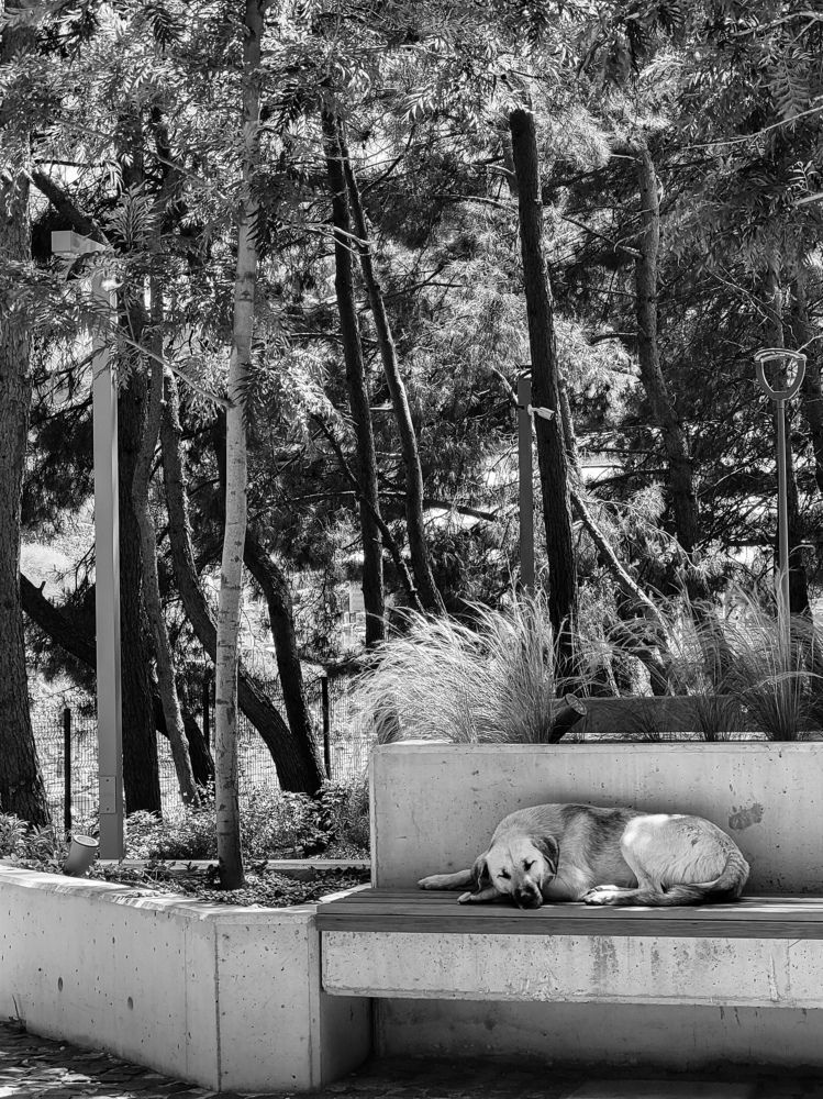 Photograph by Валерия Гуртовая