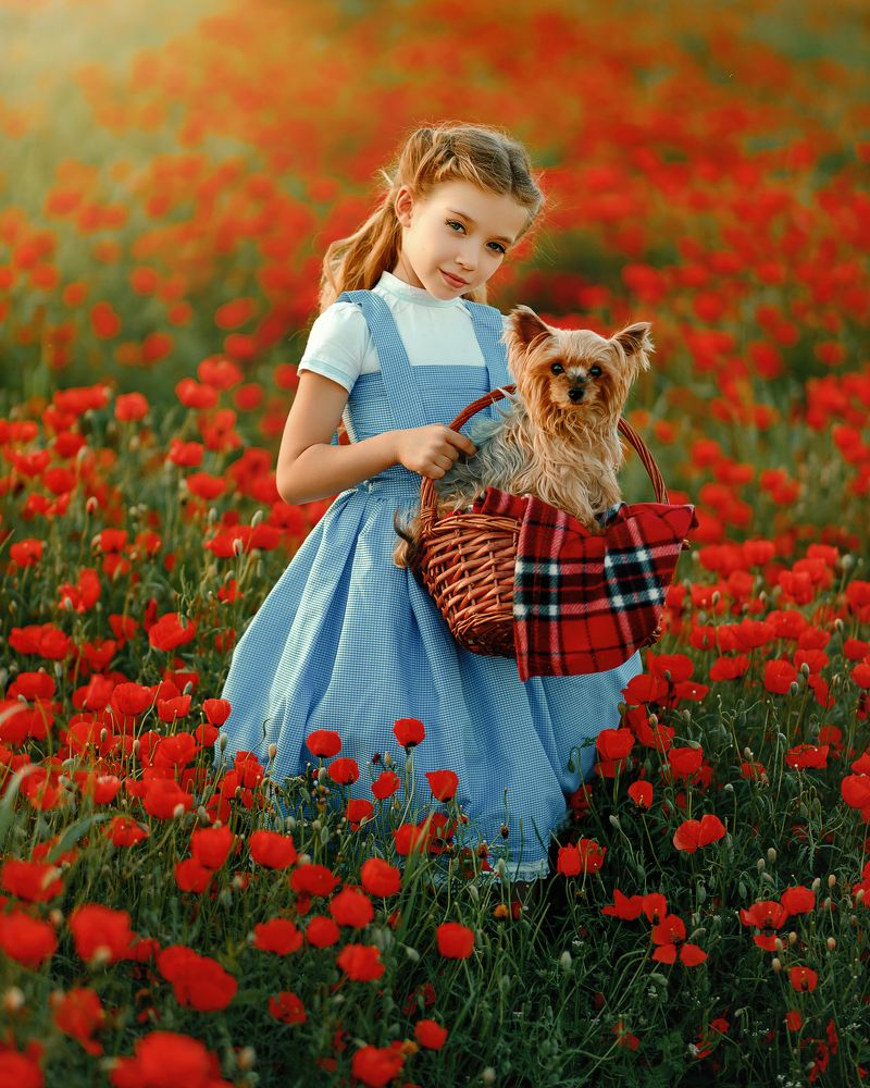 Фотография автора Евгений Морозов