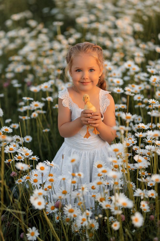 Фотография автора Евгений Морозов