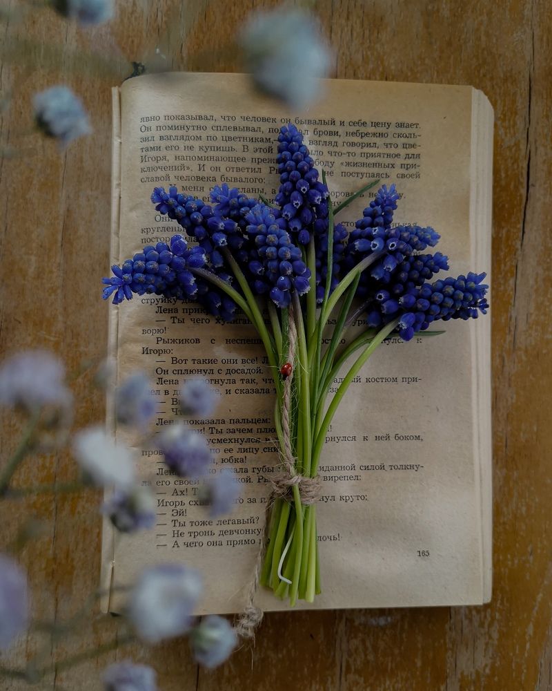 Photograph by Наталья Балабанова