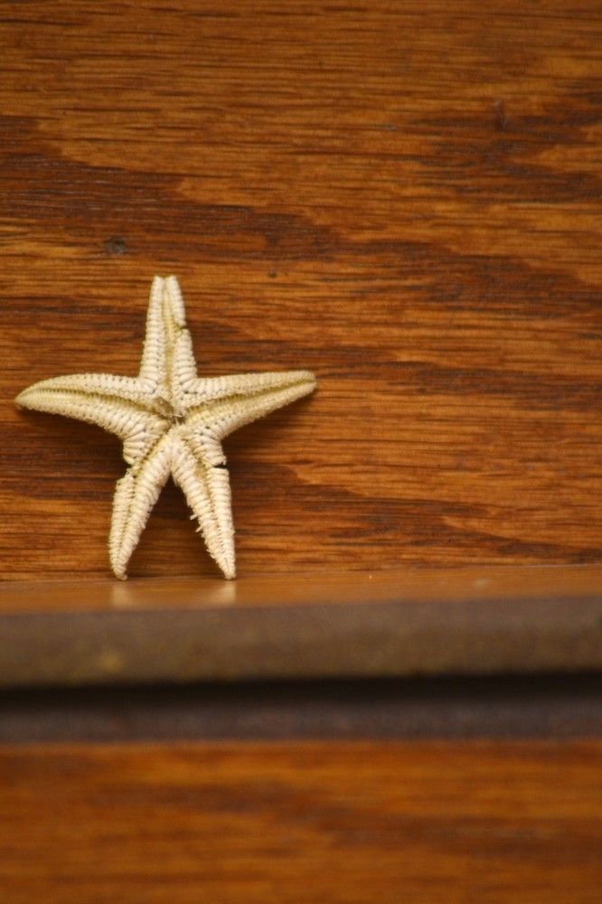 Photograph by Eslam Ahmed