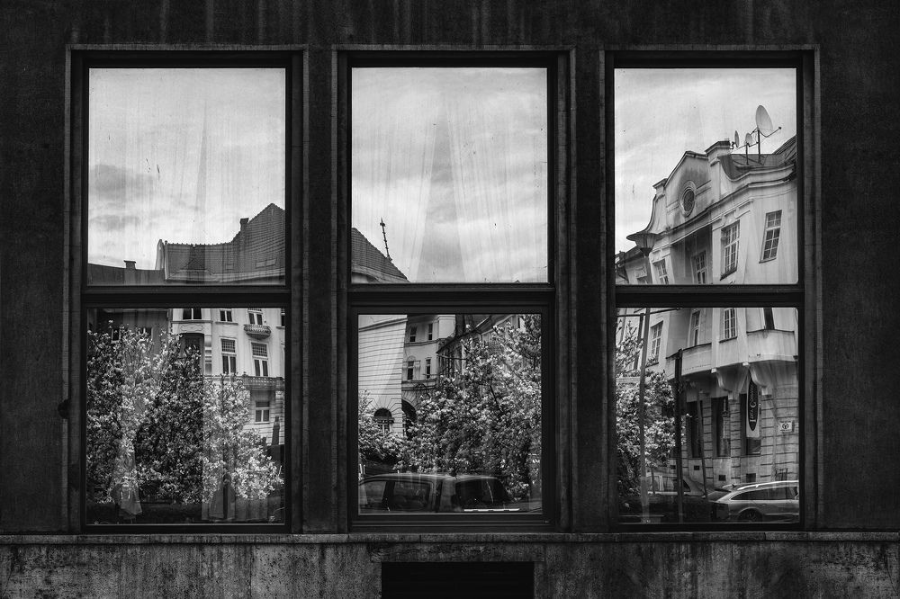 Photograph by Dorota Hnatová