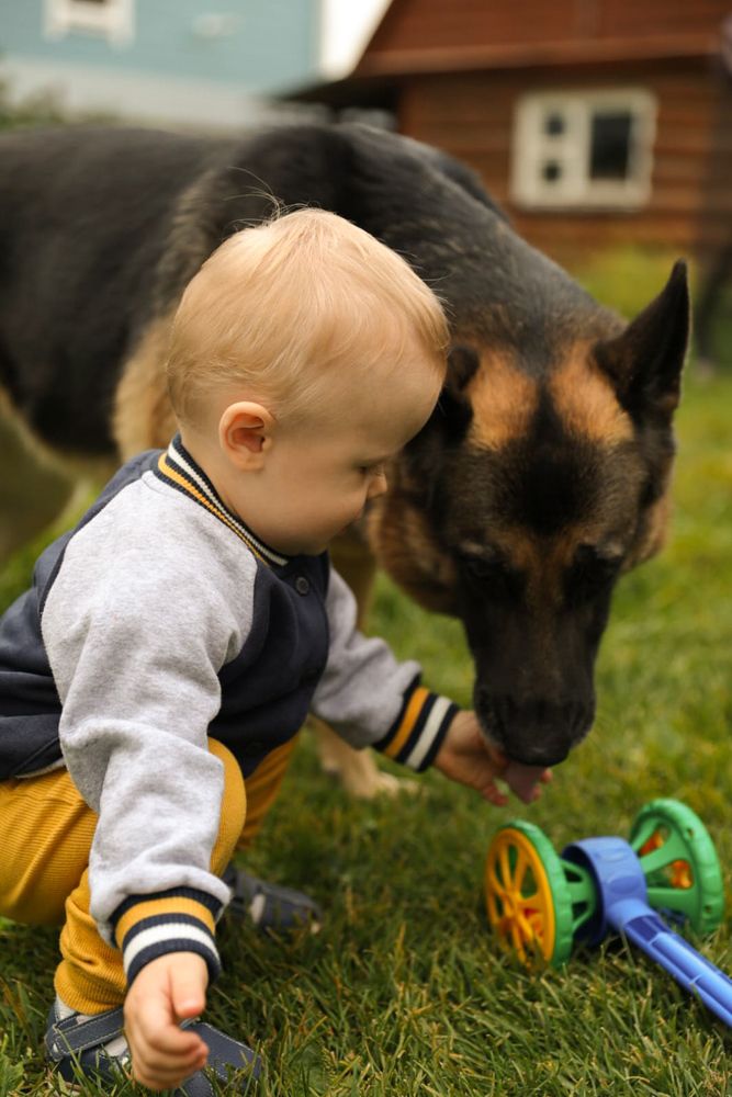 Photograph by Екатерина