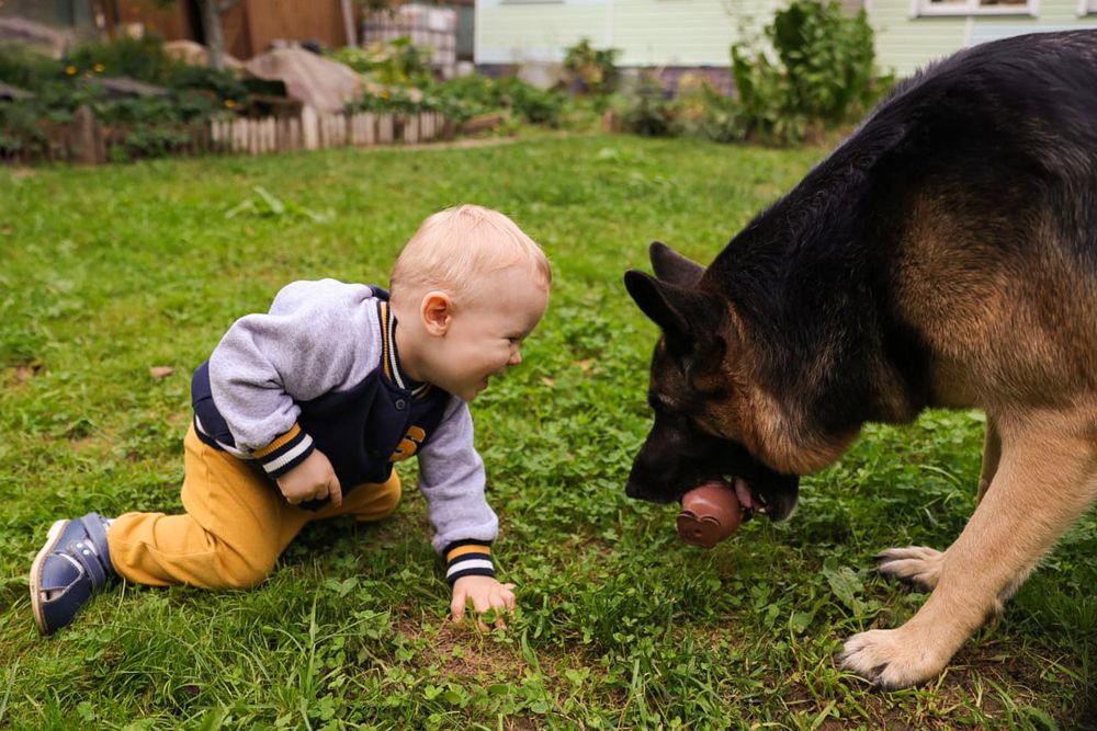 Photograph by Екатерина