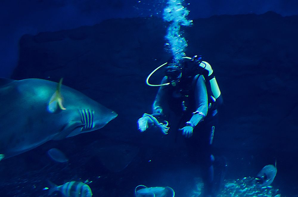 Photograph by Rox Boyer