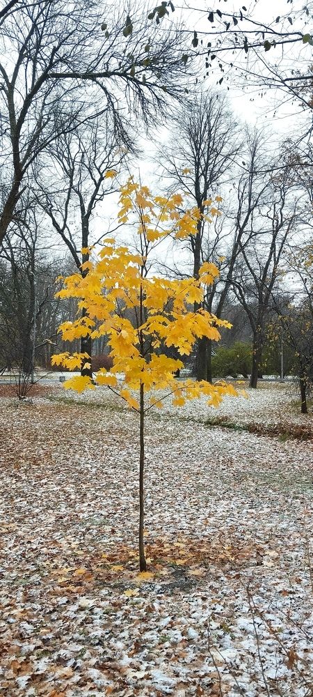 Photograph by Любовь Макарова