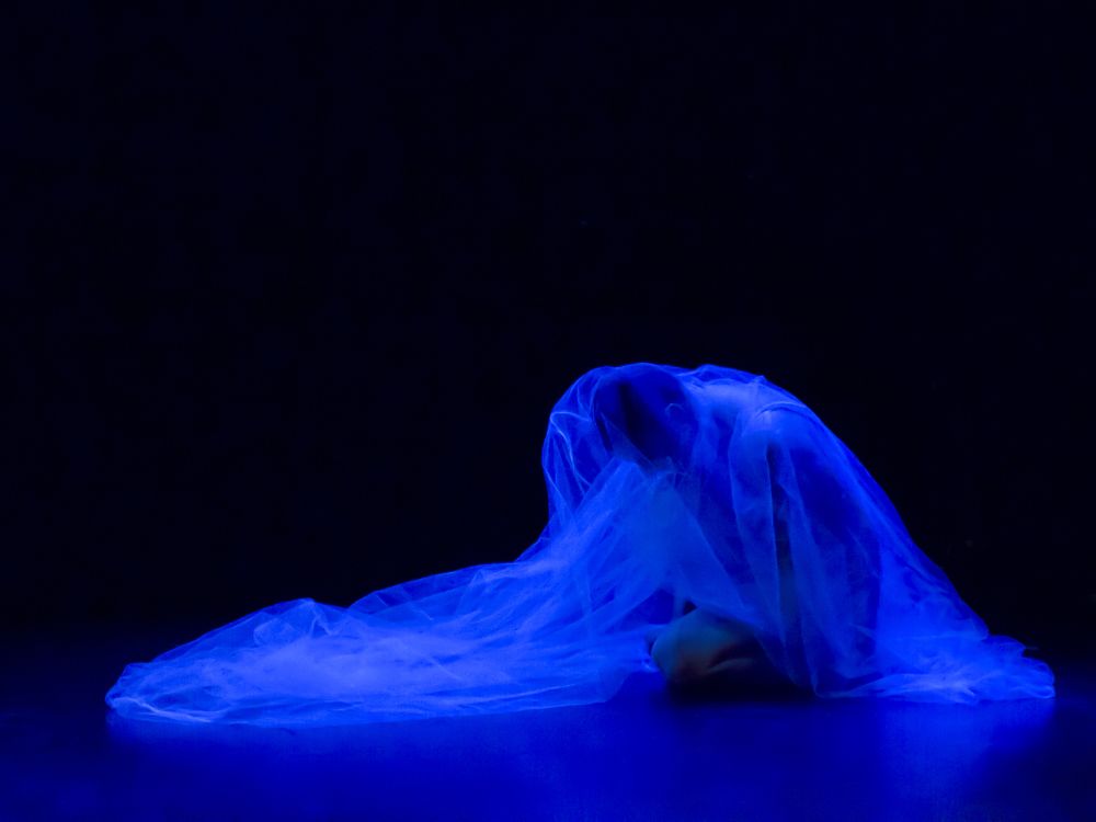 Photograph by Rox Boyer