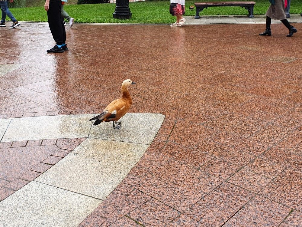 Photograph by Яна Галимуллина