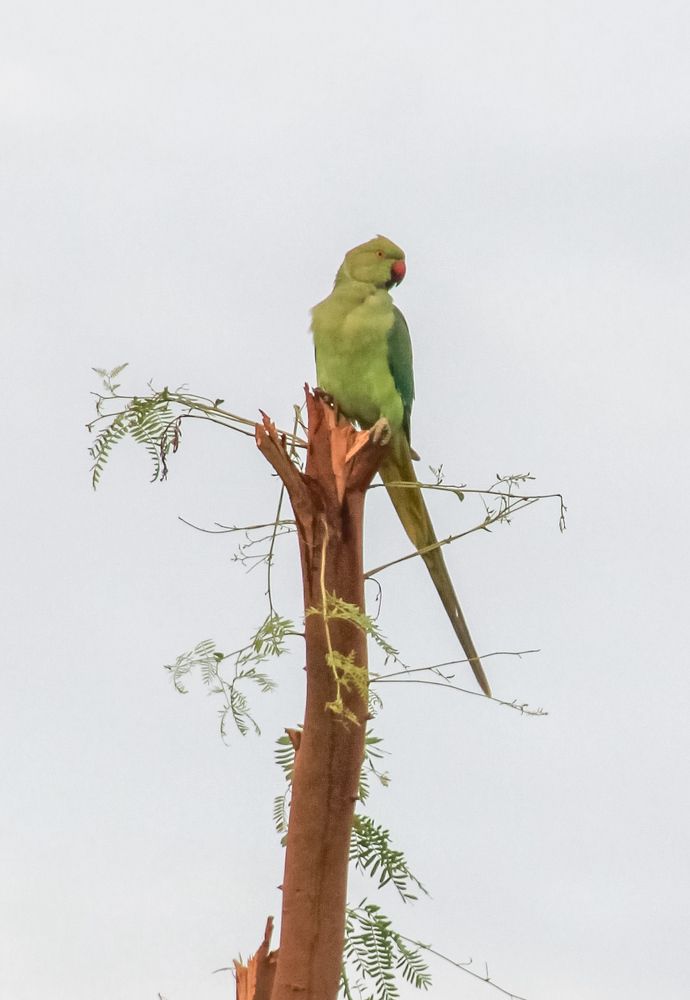 Photograph by Waleed Yousuf Alwahaibi