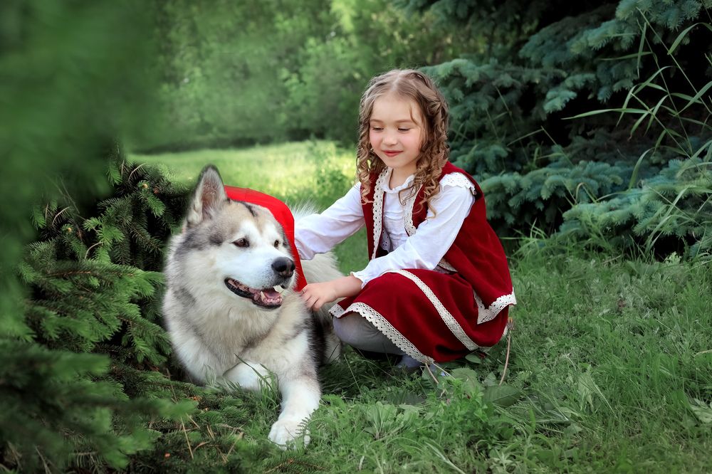 Photograph by Людмила Колесниченко