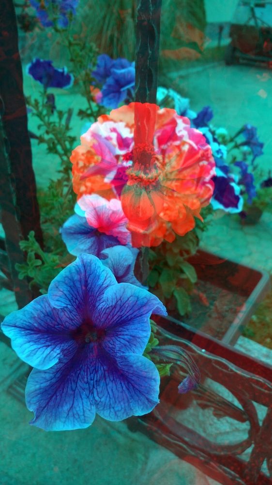 Photograph by Anna Gancheva