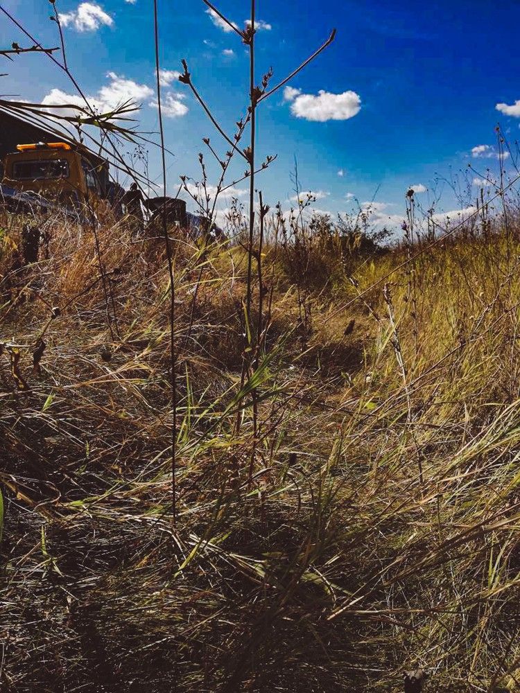 Photograph by Anna Gancheva