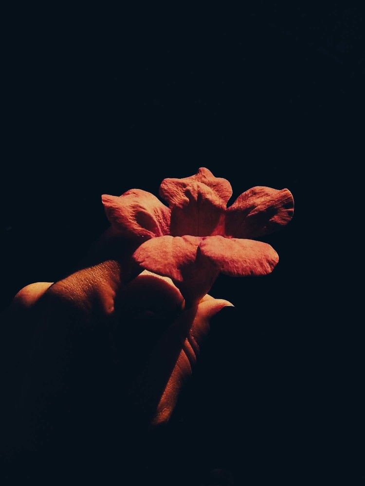 Photograph by Anna Gancheva