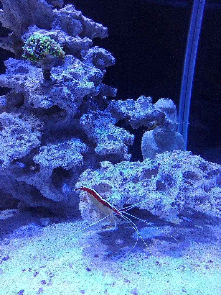 Photograph by Людмила Ковалева