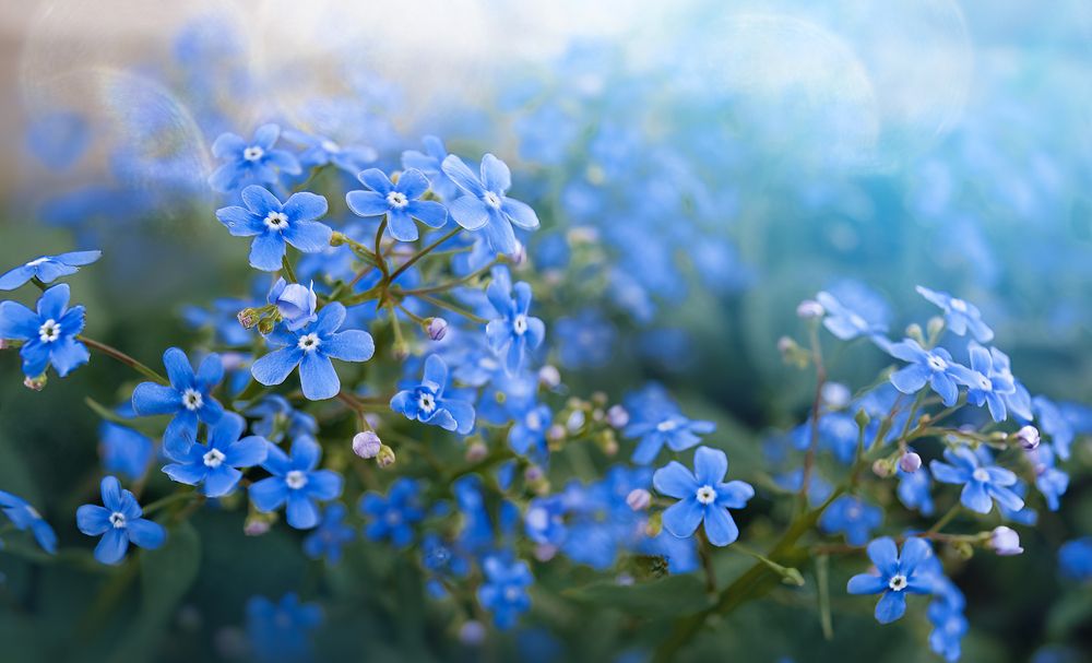 Photograph by Мария Кравченко