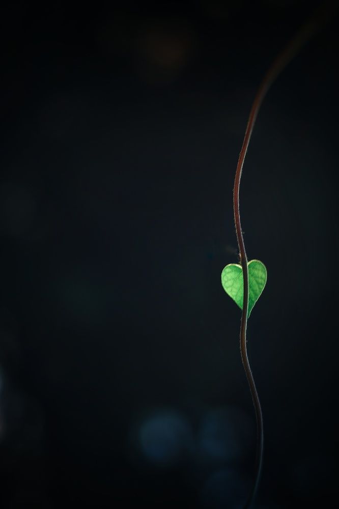 Фотография автора Юлияна Стоянова