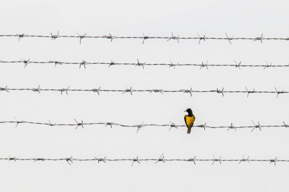 Photograph by Kurniawan Tri Aji