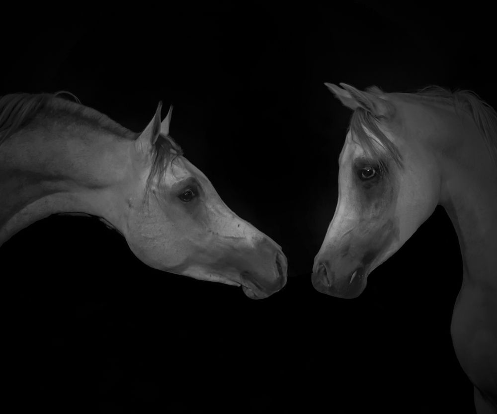 Photograph by Eslam Ahmed