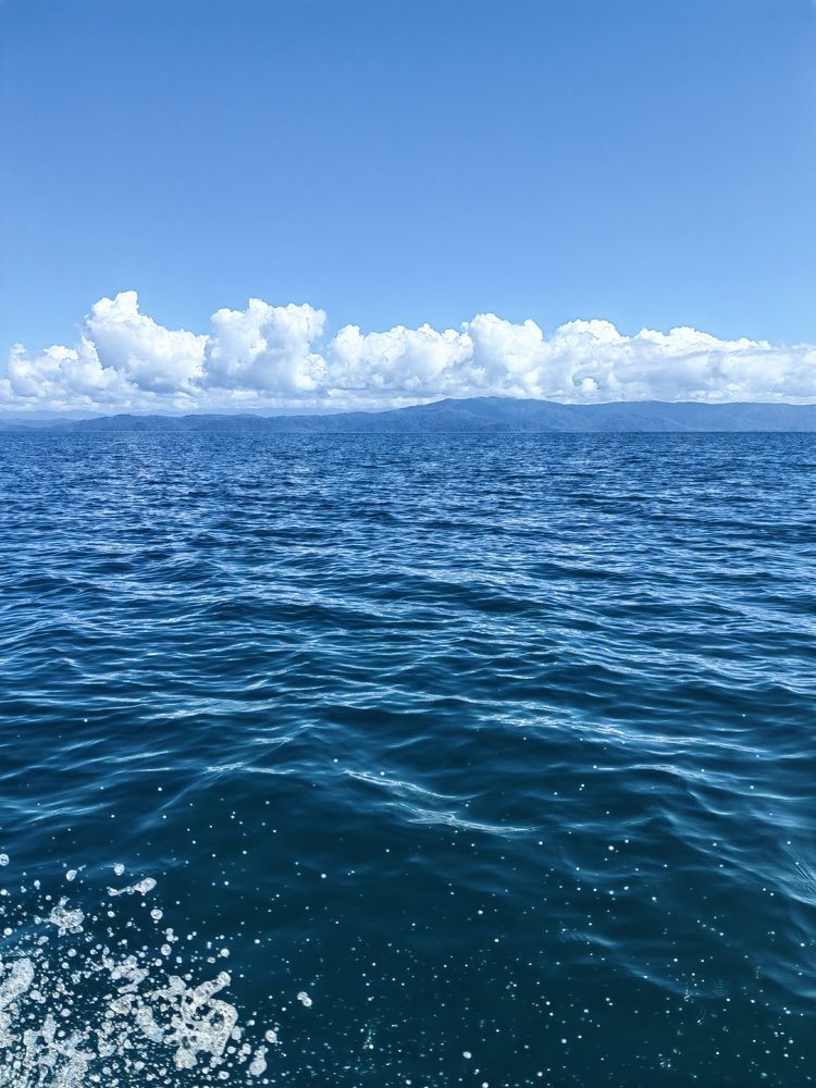 Photograph by Virginia Azocar