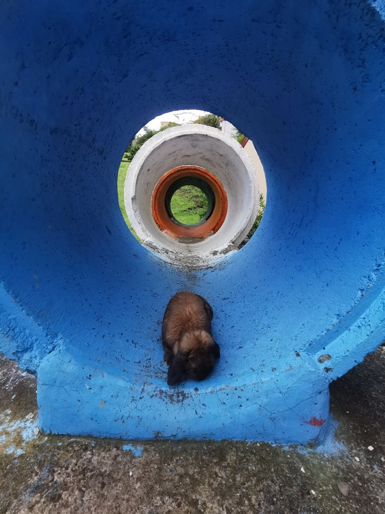 Photograph by Virginia Azocar